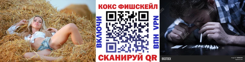 наркота  Кисловодск  Кокаин Эквадор 