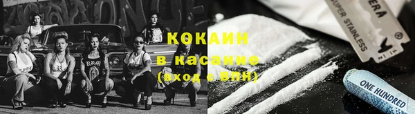 стаф Абаза