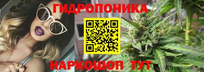 хмурый Кимры