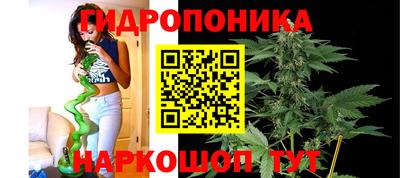 прущая мука Кингисепп
