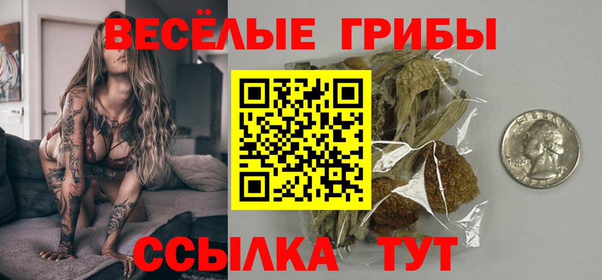 Галлюциногенные грибы Psilocybe  Галлюциногенные грибы MAGIC MUSHROOMS  Вход с VPN  Кисловодск 