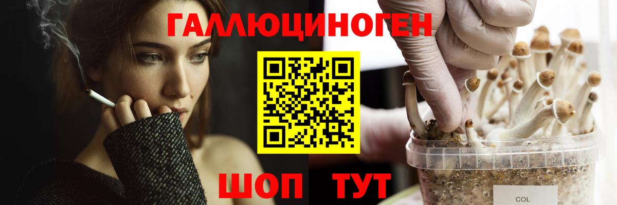 Псилоцибиновые грибы прущие грибы Кисловодск